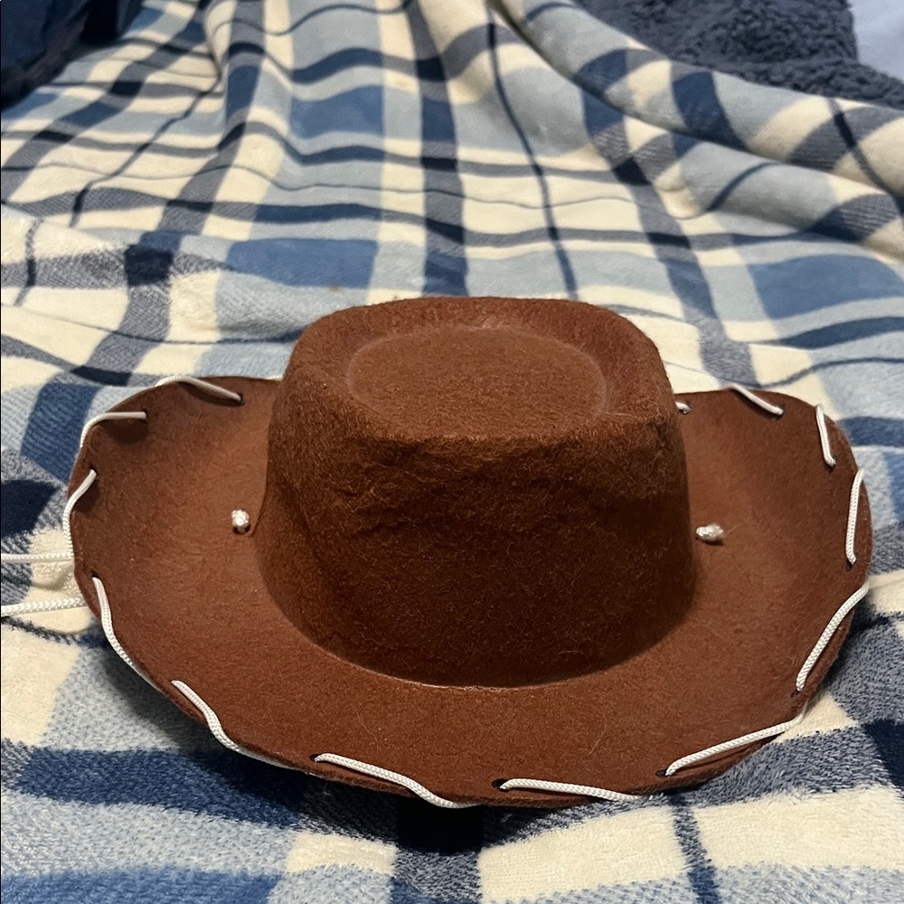 Brown Cowboy Hat with White Trim
